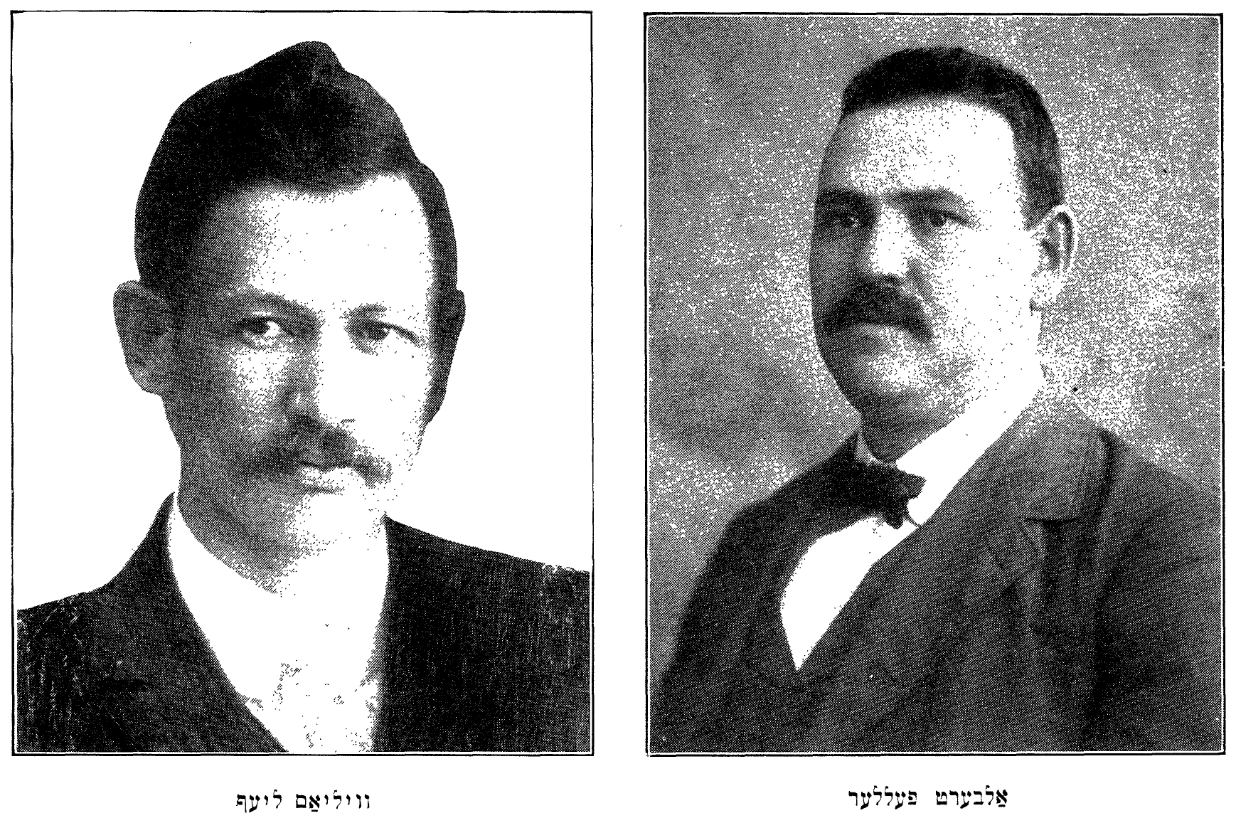 װיליאַם ליעף · אַלבערט פֿעלער